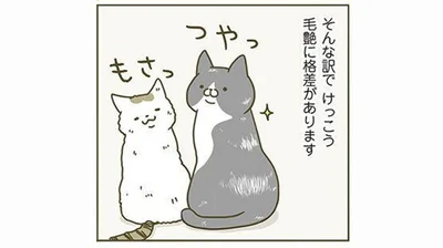 毛艶に格差が
