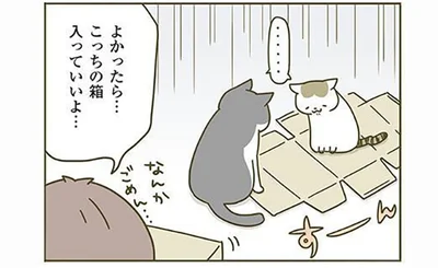 よかったら…