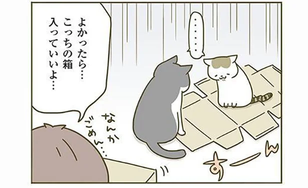 よかったら…