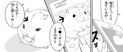 毎日じっくり見ているが…