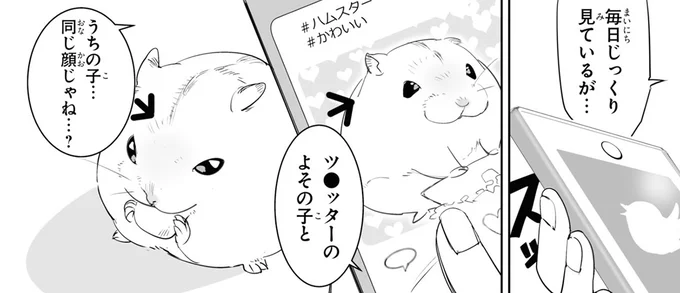 毎日じっくり見ているが…