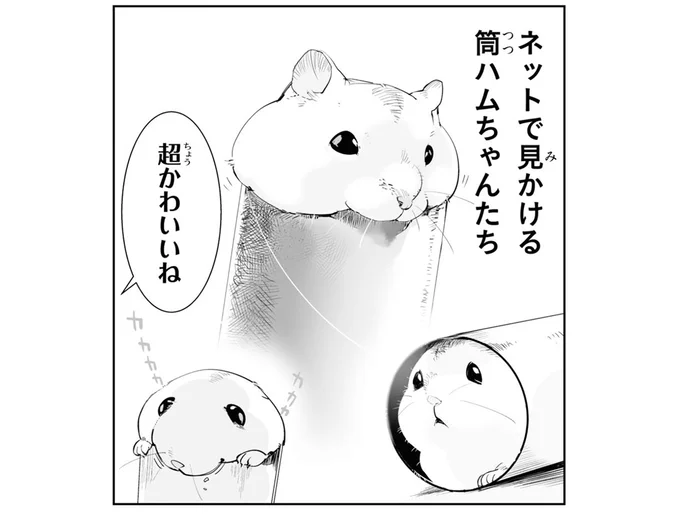 筒ハムちゃん