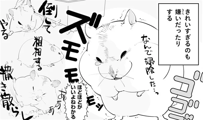 きれいすぎるのも嫌いだったりする
