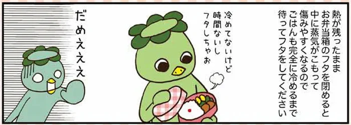 こんなにある！お弁当の食中毒を防ぐために気をつけたいポイント12／毎朝、悩まない！ちゃちゃっと弁当（6）