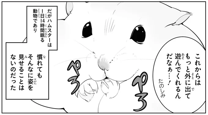 慣れてもそんなに姿を見せることはないのだった