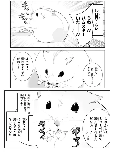 ハムスターいたー！