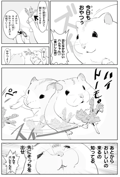 『はむはむづくし』より