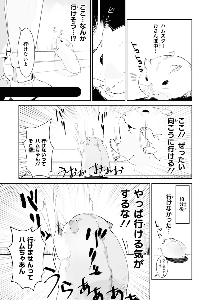 『はむはむづくし』より