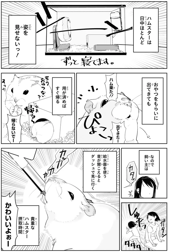 『はむはむづくし』より