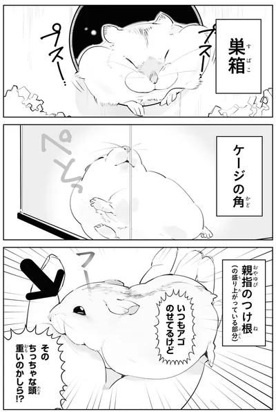 『はむはむづくし』より