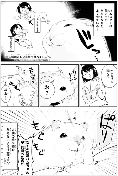 『はむはむづくし』より