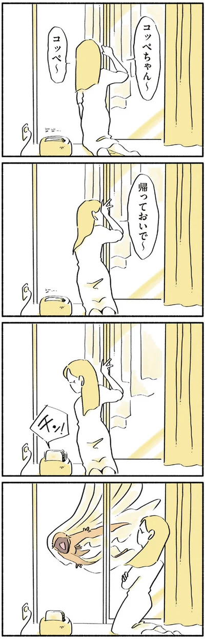 コッペちゃん～