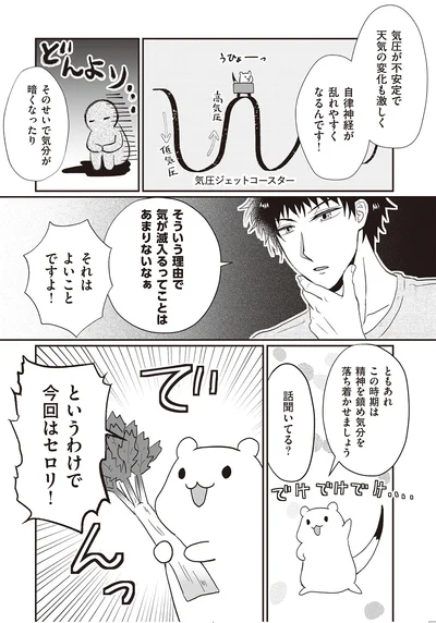 というわけで今回はセロリ！