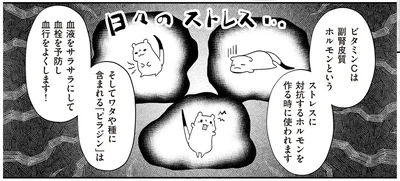 日々のストレス…