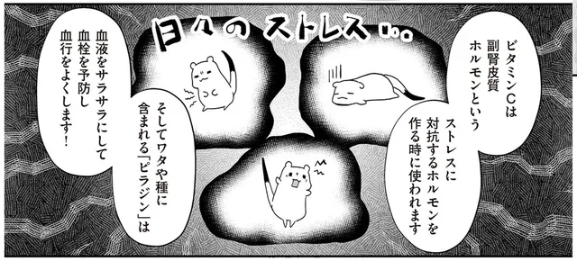 種もワタも丸ごと食べて、余すことなく栄養補給！素材のうまみ際立つ「ピーマン焼き」／おこじょさんと家飲み家ご飯（4）