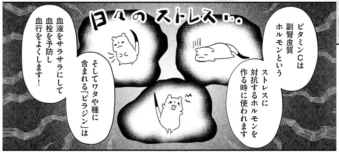 日々のストレス…