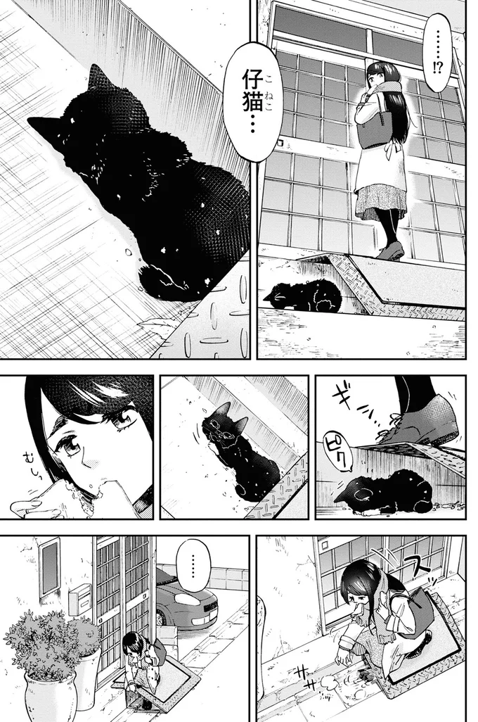 仔猫…