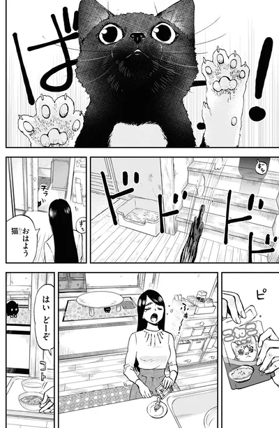 『細村さんと猫のおつまみ』より
