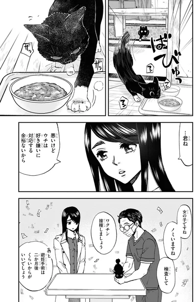『細村さんと猫のおつまみ』より