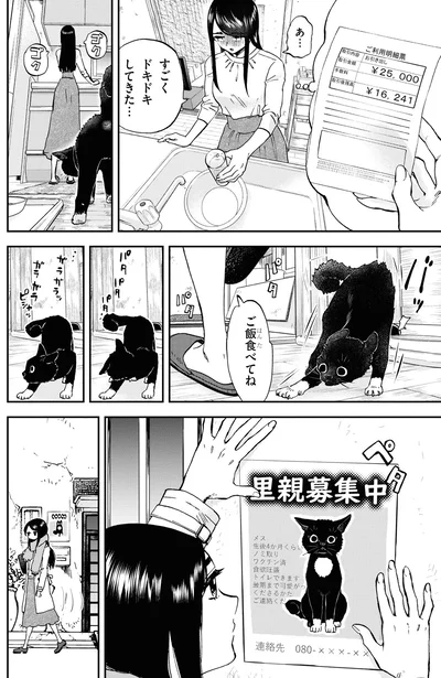 『細村さんと猫のおつまみ』より
