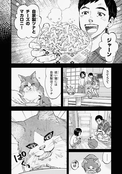 『細村さんと猫のおつまみ』より