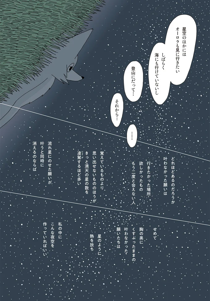 星空のほかにはオーロラも見に行きたい