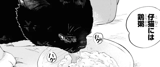 仔猫には鶏粥、自分用にゆで鶏の金柑味噌。おいしく出来てお互い完食！／細村さんと猫のおつまみ