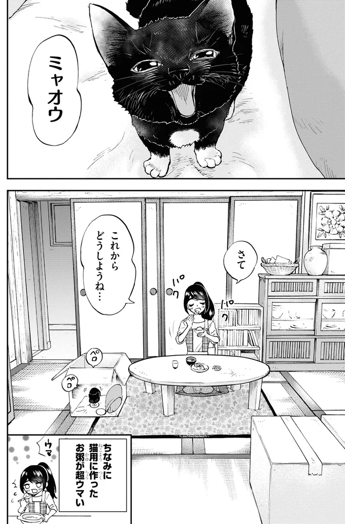 これからどうしようね…