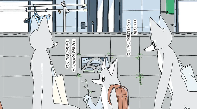 ここの塀こんなに低かったっけ