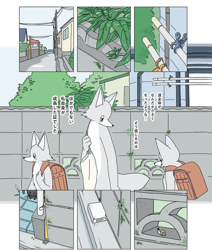 道全体がなんだか小さくなったような…
