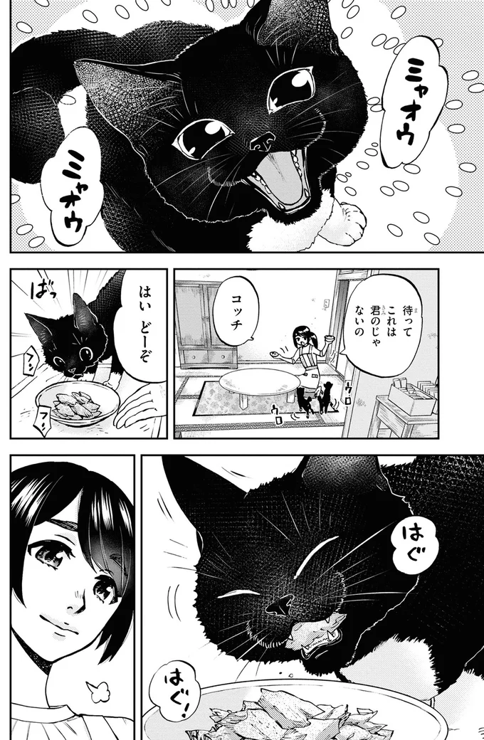 はいどーぞ