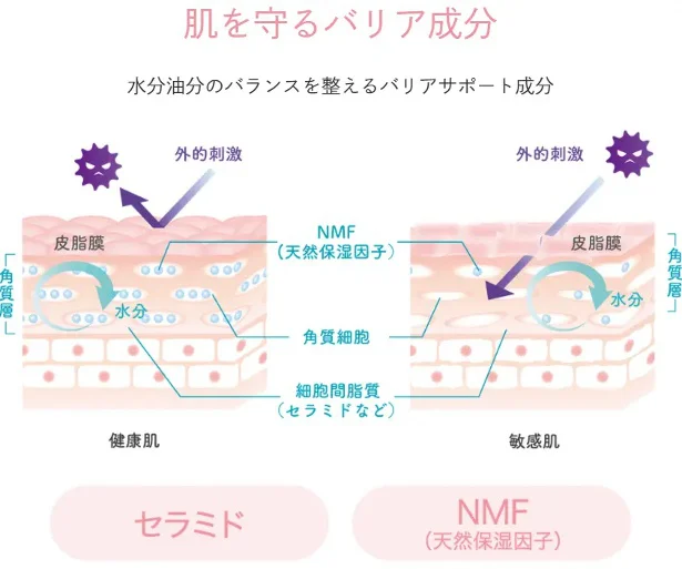 肌を守るバリア成分を配合