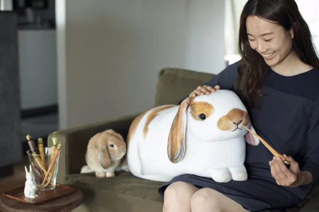 でかさこそ究極の癒やし！ 世界最大級のたれ耳うさぎ“フレンチロップイヤー”の実寸大クッション