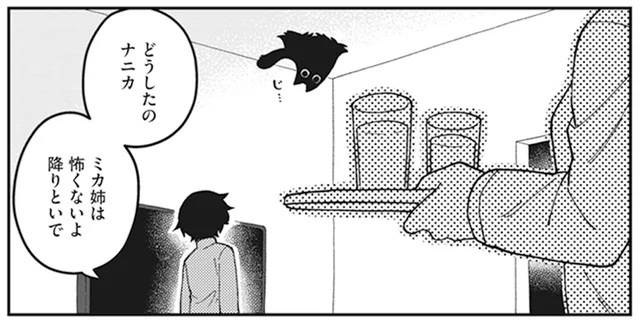  猫は天井に張り付かない！ 弟が飼っている猫のような生き物は一体何？／猫のようなナニカ2（3）