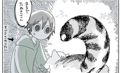 まるでたぬきさん