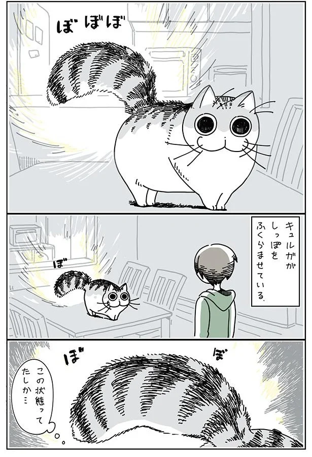 ふくらんだしっぽが気になる