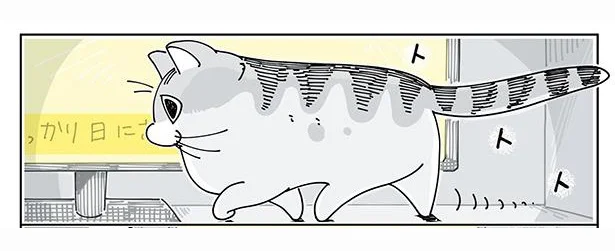 字幕の前を…