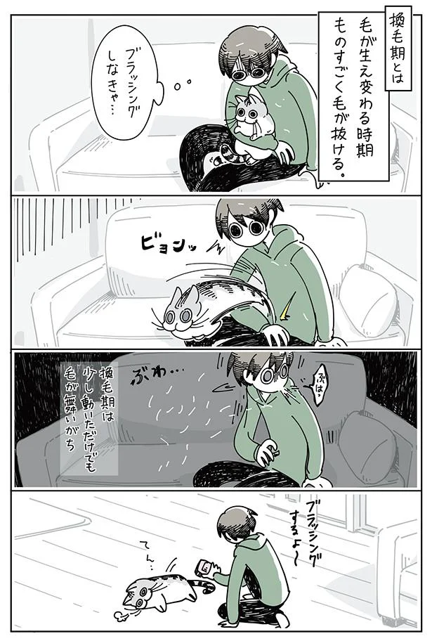 ブラッシングしなきゃ…