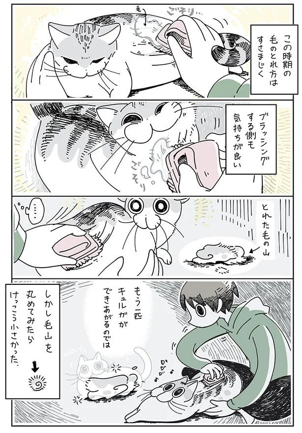 ブラッシングする側も気持ちがいい