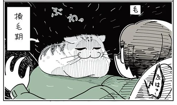 ぶわっ