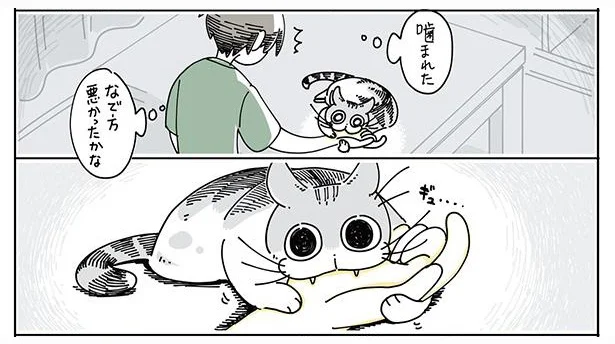 なで方悪かったかな