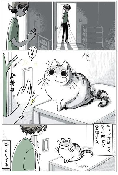 ネコにびっくりする