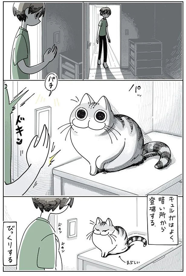 ネコにびっくりする
