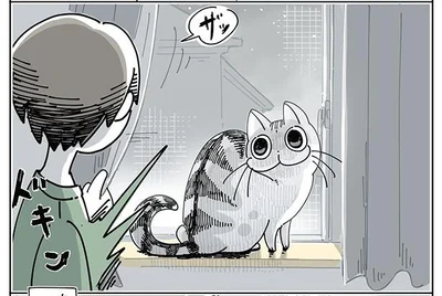 カーテンのうしろに