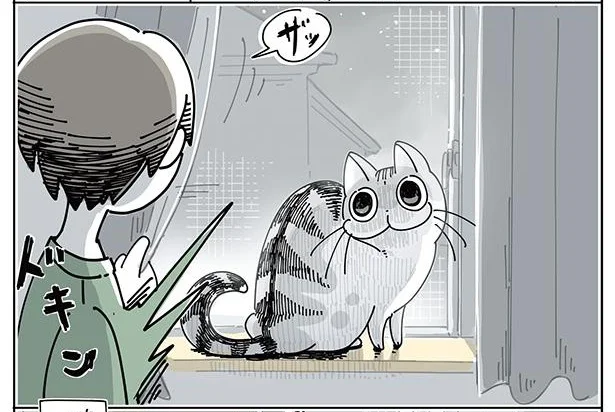 カーテンのうしろに