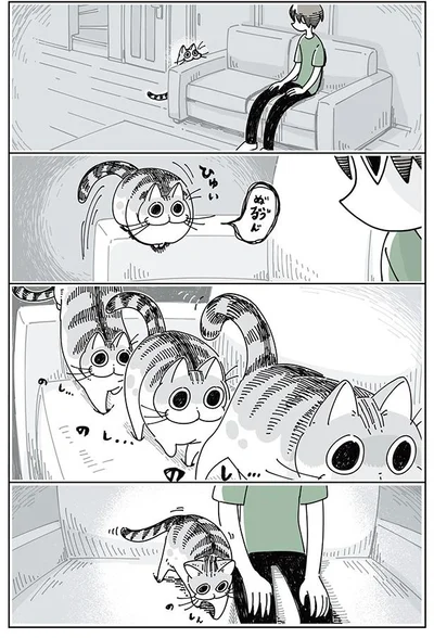となりに座るネコ