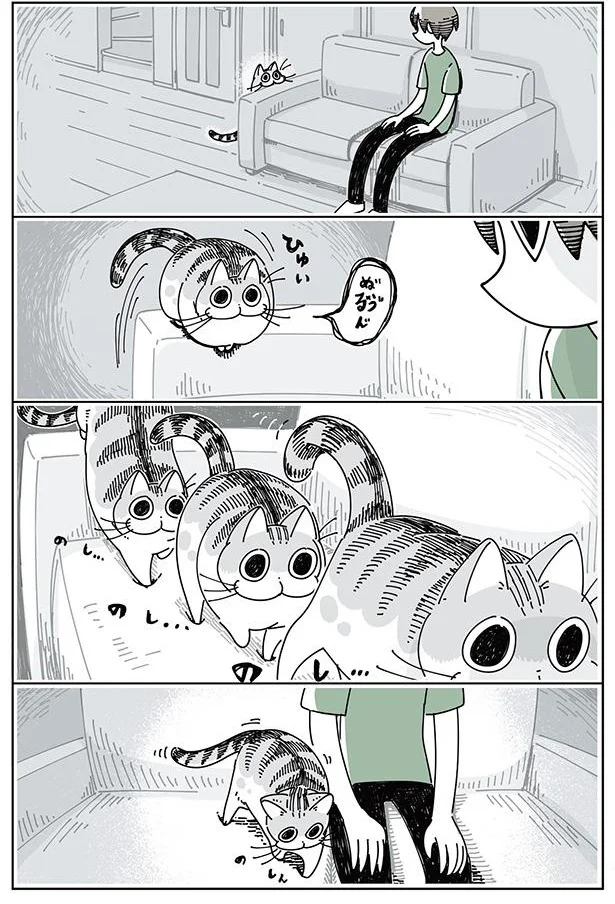 となりに座るネコ