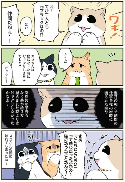 てか二人とも元ブラックなの⁉