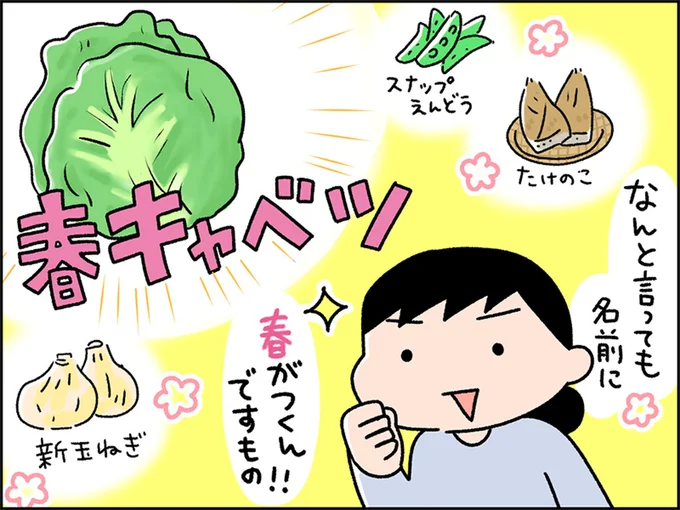 春の食材といえば春キャベツ！