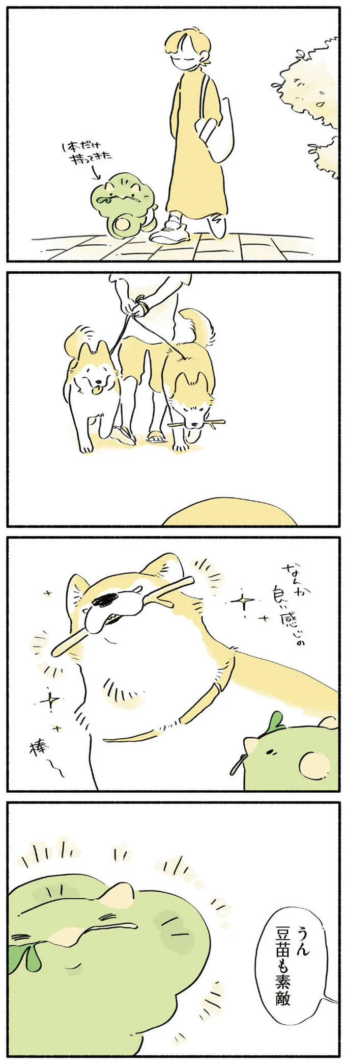 うん　豆苗も素敵